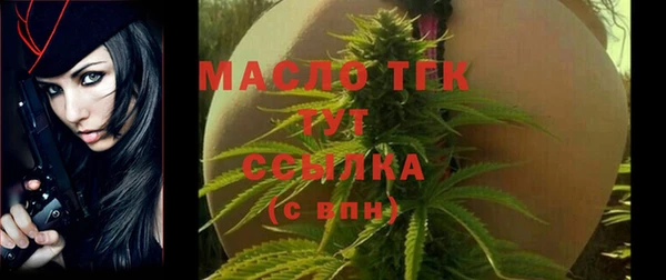 крисы Сатка