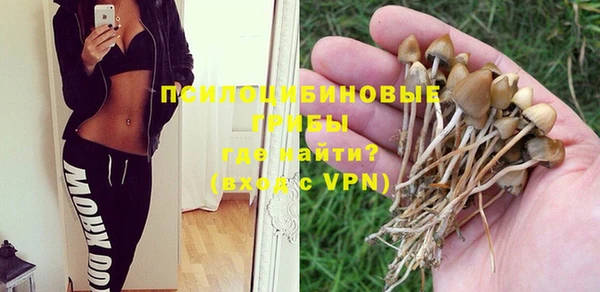 сатива Алексин