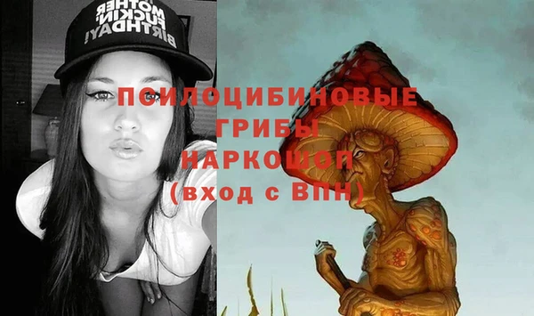 сатива Алексин