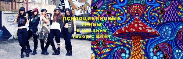 крисы Сатка