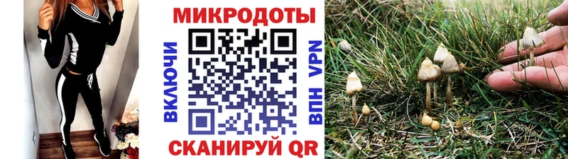 где найти наркотики  Буй  Галлюциногенные грибы мицелий 