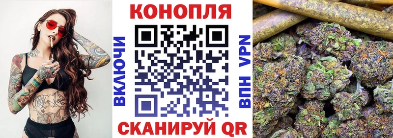 цена наркотик  Буй  Бошки Шишки White Widow 